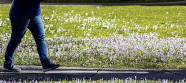 quasi-22-gradi-temperature-record-in-svizzera
