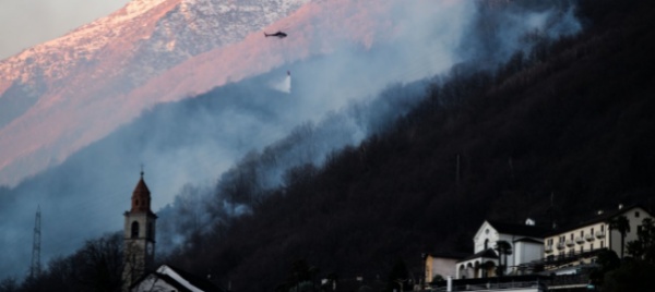 ronco-s/ascona-ricostruire-il-bosco-dopo-gli-incendi