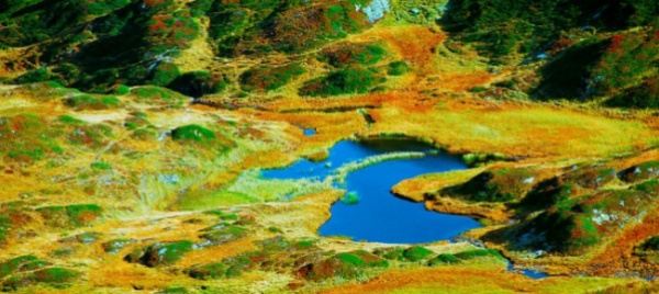 in-mostra-gli-scatti-di-ennio-ferrari-imprenditore-e-fotografo