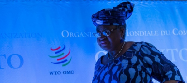 direttrice-omc-presentata-come-nonna-monta-la-protesta
