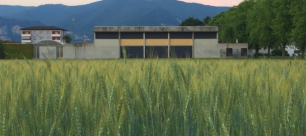 staccata-la-licenza-per-la-sportacademy-a-genestrerio