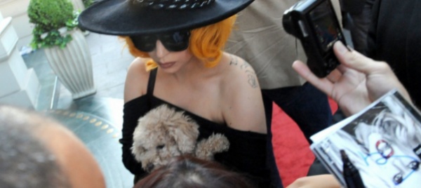 i-cani-di-lady-gaga-ritrovati-sani-e-salvi