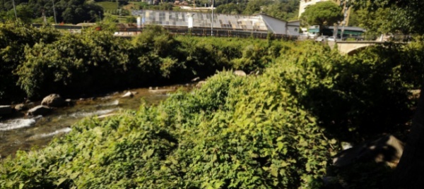 lugano-il-lungofiume-e-invaso-dal-poligono-del-giappone