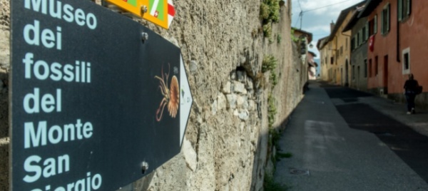 il-museo-dei-fossili-aumenta-l-offerta-per-i-giovani