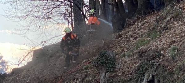incendio-vicino-al-parco-vira-la-polizia-cerca-testimoni