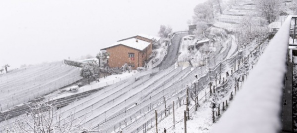 notte-glaciale-e-mattinata-di-neve-aspettando-la-primavera