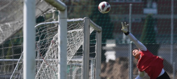 quoziente-punti-nel-calcio-caso-mai-servisse