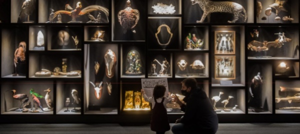 il-frammentato-mondo-dei-musei-svizzeri