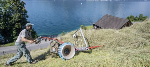pesticidi-politica-agricola-svizzera-a-un-bivio