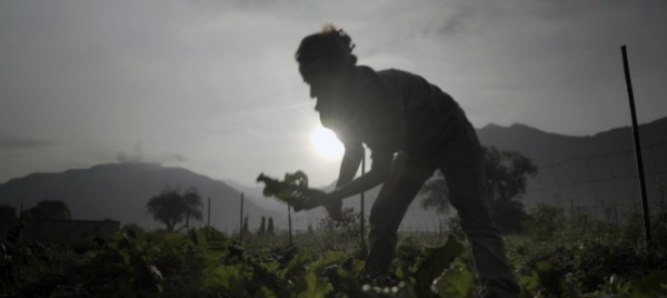 seminterra-a-storie-si-coltiva-la-terra-e-la-societa