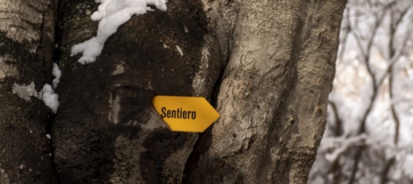prudenza-sui-sentieri-molti-sono-ostruiti-o-danneggiati