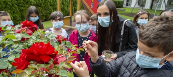 chiasso-dai-bambini-coccinelle-di-felicita-per-gli-anziani