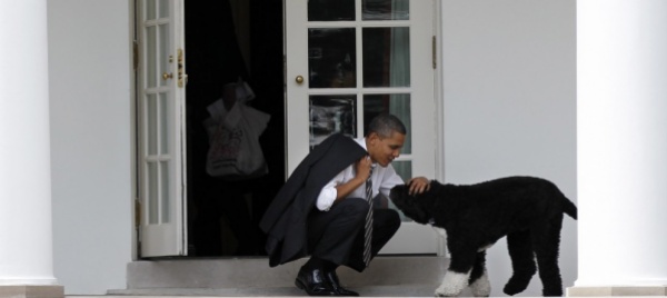 ho-perso-un-amico-obama-dice-addio-al-suo-cane-bo