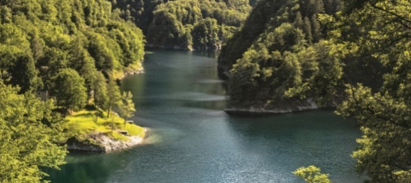 natura-che-sorprende