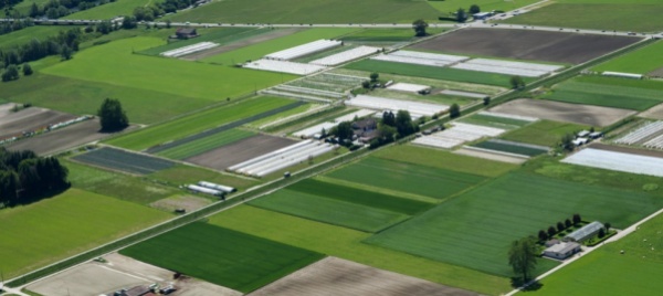 una-piattaforma-per-le-aziende-agricole-del-piano