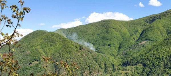 centovalli-fiamme-nei-boschi-di-ogna-vicino-ai-rustici