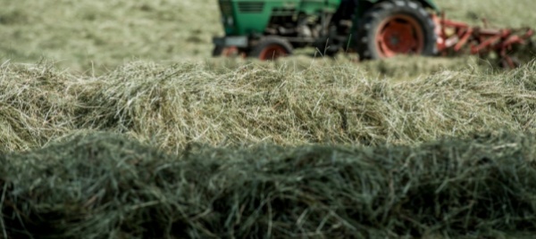 kazakistan-niente-terreni-agricoli-agli-stranieri