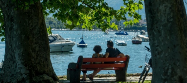 fratello-albero-a-difesa-del-verde-e-dell-ombra-a-locarno