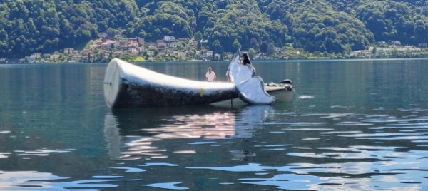 una-gigantesca-coda-di-balena-in-giardino-a-caslano