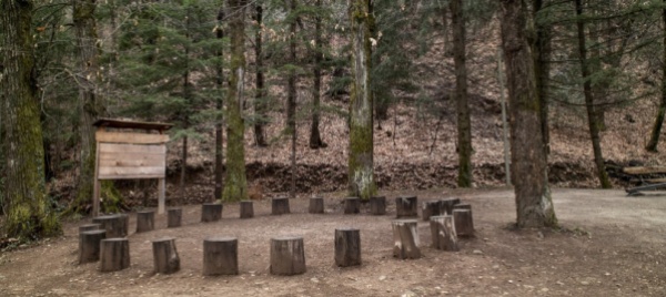anche-castel-san-pietro-vuole-l-aula-nel-bosco