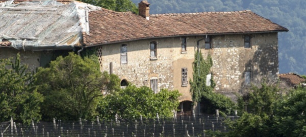 vigino-appello-dei-consiglieri-di-castello-al-cantone