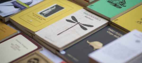 libri-editi-nella-svizzera-italiana-uno-sconto-per-gli-studenti