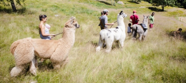 funivia-monte-comino-un-avventura-per-tutta-la-famiglia