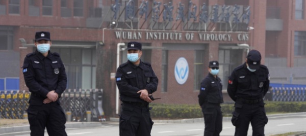 skynews-nell-istituto-di-wuhan-c-erano-pipistrelli