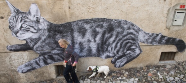 i-love-gatti-una-mostra-tutta-open-air-a-rovio