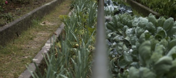 locarno-attivita-nella-natura-con-l-associazione-di-quartiere