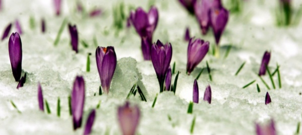lo-dice-il-satellite-e-la-primavera-piu-fredda-dal-2013