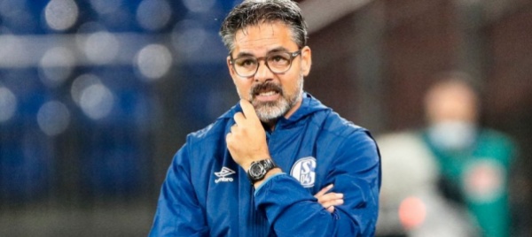 david-wagner-allenatore-dello-young-boys