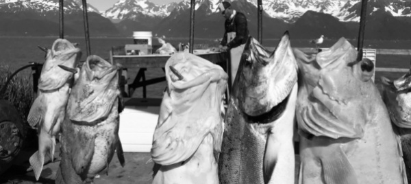 united-roads-of-america-in-alaska-dove-finisce-il-viaggio
