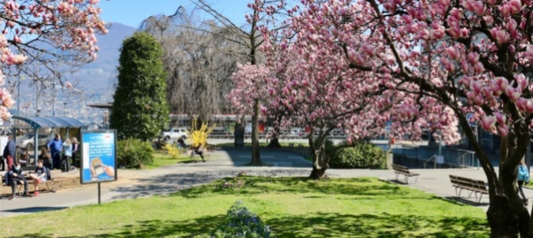 verdi-lugano-salviamo-i-giardinetti-di-besso