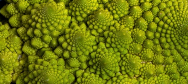 le-complessita-del-broccolo-romanesco