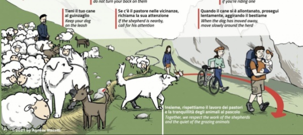 escursioni-e-cani-da-protezione-fondamentale-informarsi