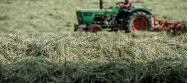 meno-incidenti-mortali-durante-lavori-agricoli