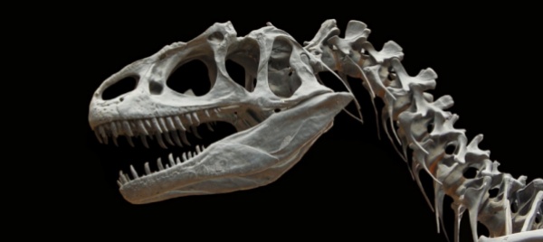 l-asteroide-dei-dinosauri-provoco-uno-tsunami-c-e-il-segno