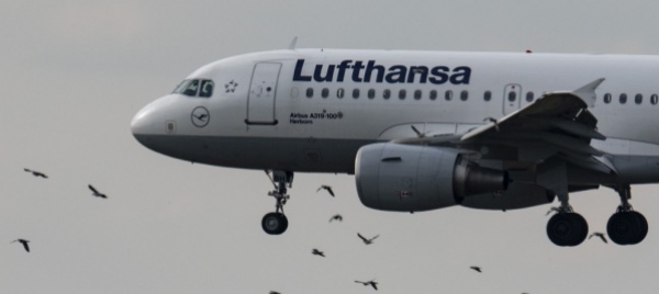 lufthansa-dice-addio-a-signore-e-signori