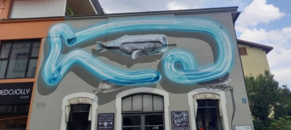 nevercrew-a-locarno-il-debutto-e-con-l-amato-cetaceo
