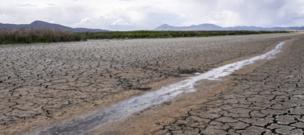 fine-risorse-naturali-il-29-luglio-e-l-earth-overshoot-day