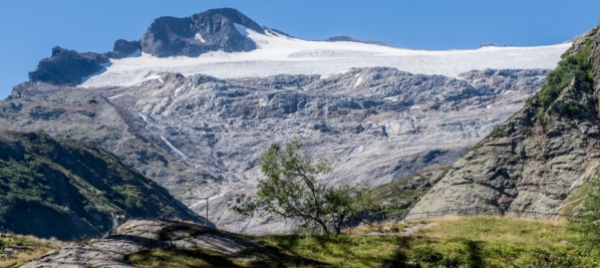 valle-bavona-la-botanica-alpina