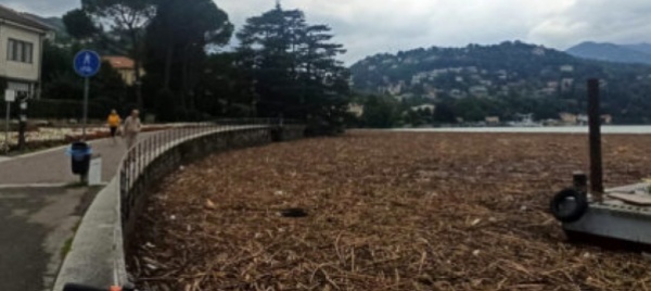 maltempo-detriti-record-nel-lago-di-como