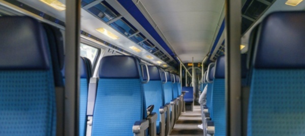 la-gratuita-del-trasporto-pubblico-e-anticostituzionale