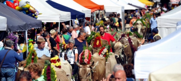 carattere-alpino-per-il-ferragosto-di-san-bernardino