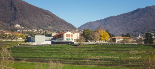 il-centro-professionale-del-verde