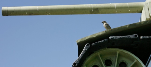 germania-84enne-aveva-un-panzer-in-giardino-condannato
