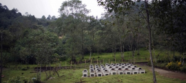 guatemala-a-giudizio-due-ex-generali-per-massacro-di-indios