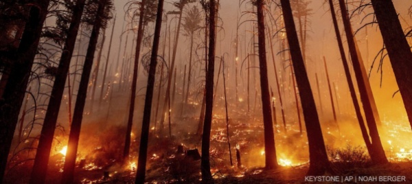 algeria-sale-a-71-il-bilancio-dei-morti-negli-incendi