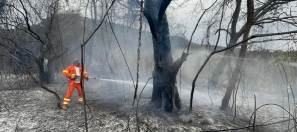italia-turisti-in-fuga-per-gli-incendi-che-devastano-il-sud